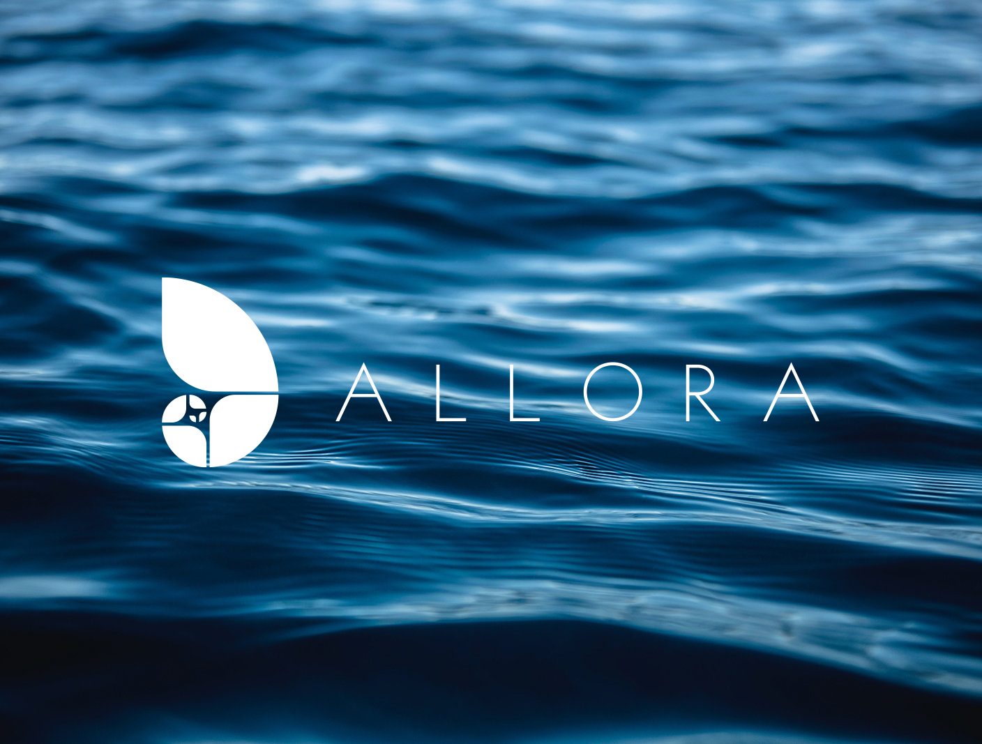 Allora - Modern Outsourcing Solutions for Business | Charleston